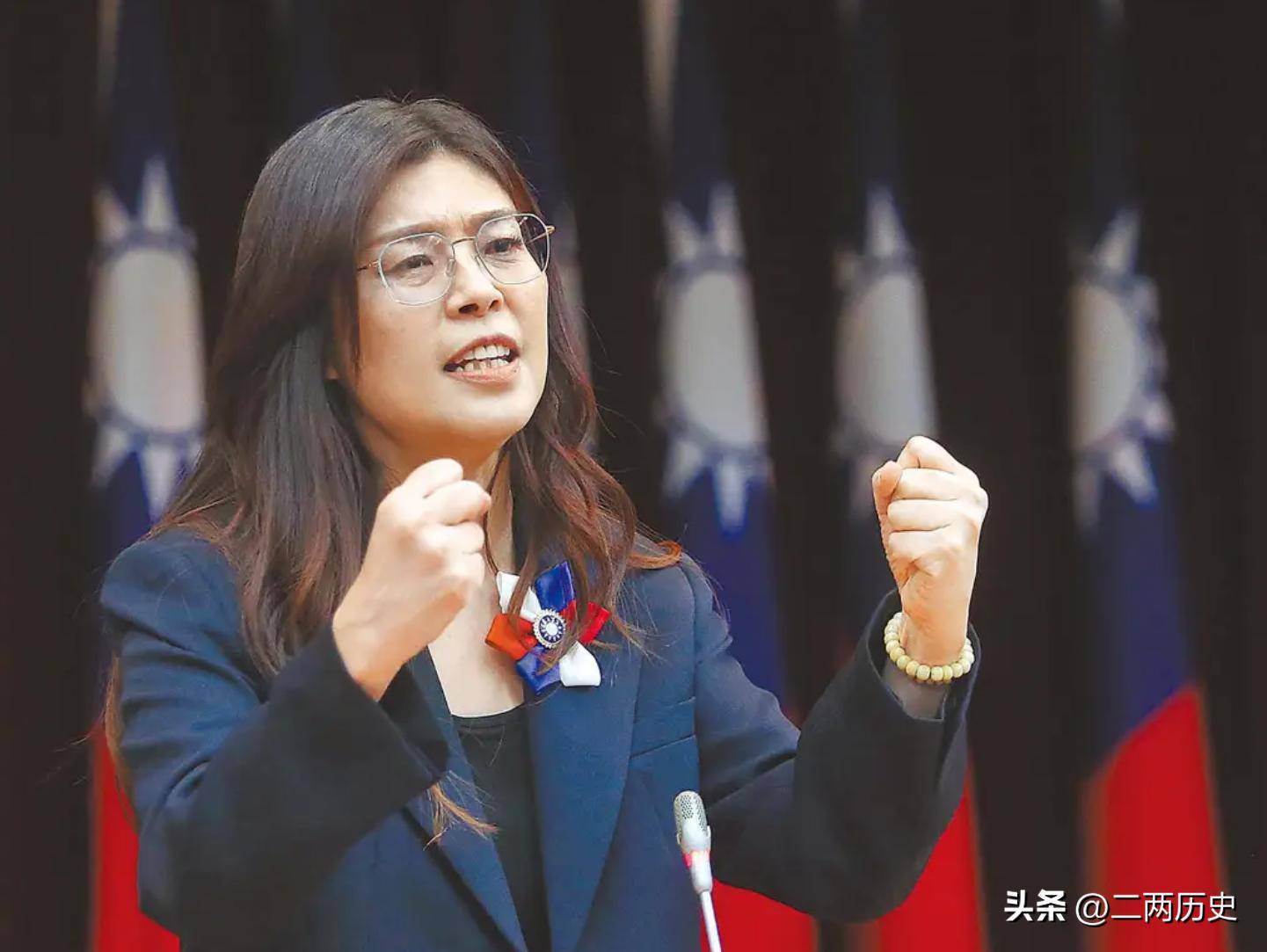 郑丽文人间清醒:如果去大陆,能见到谁不重要,重要的是代表谁去