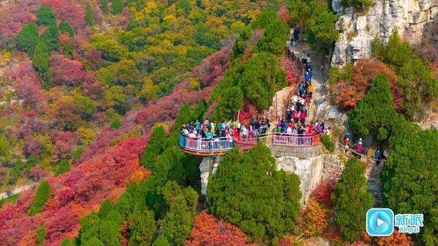 霜降时节，来潍坊临朐石门坊赴一场红叶之约！