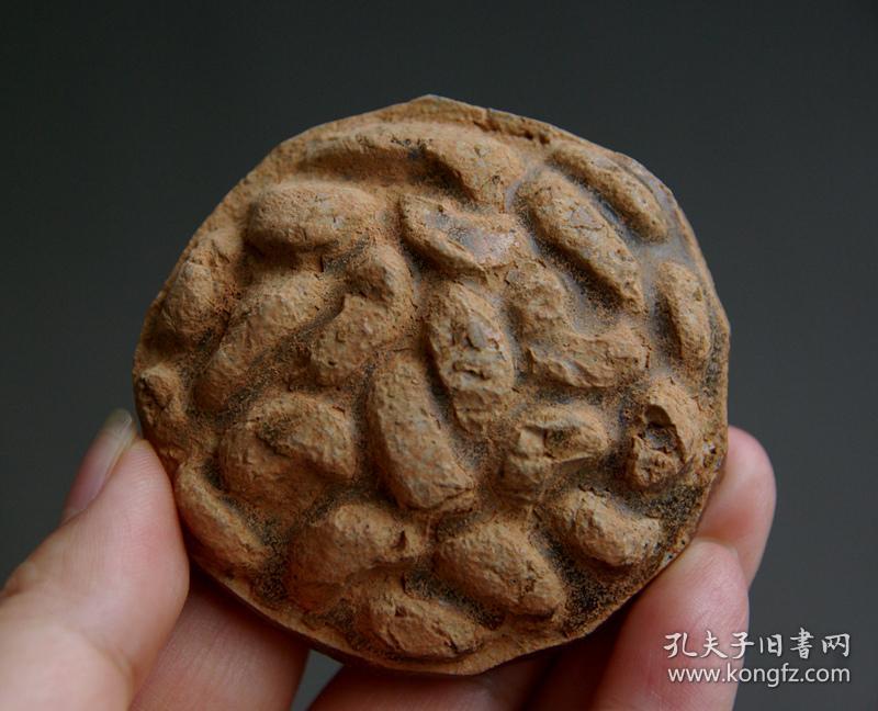 乌龟币(乌龟币怎么充值)