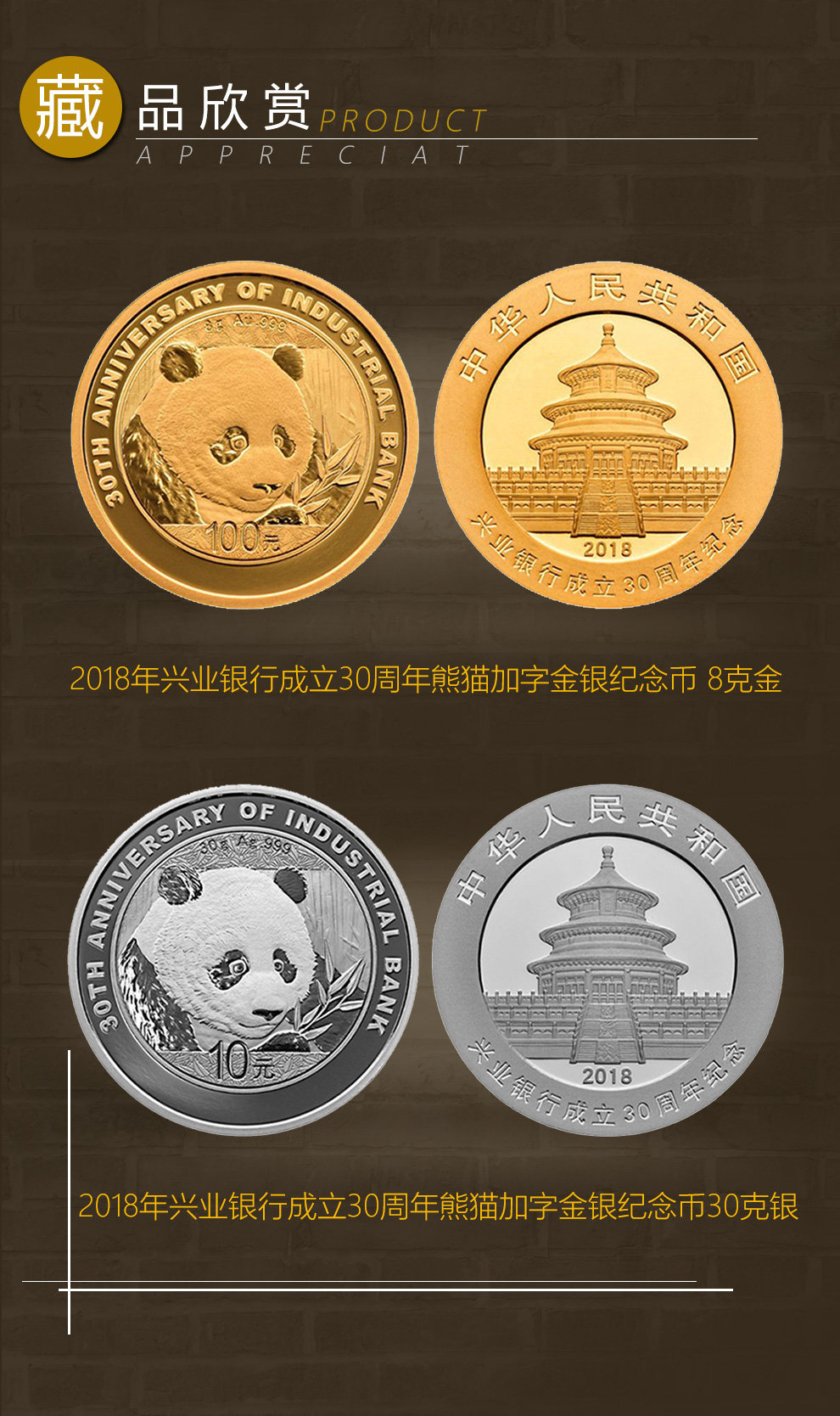 币汇系列(币汇是什么)