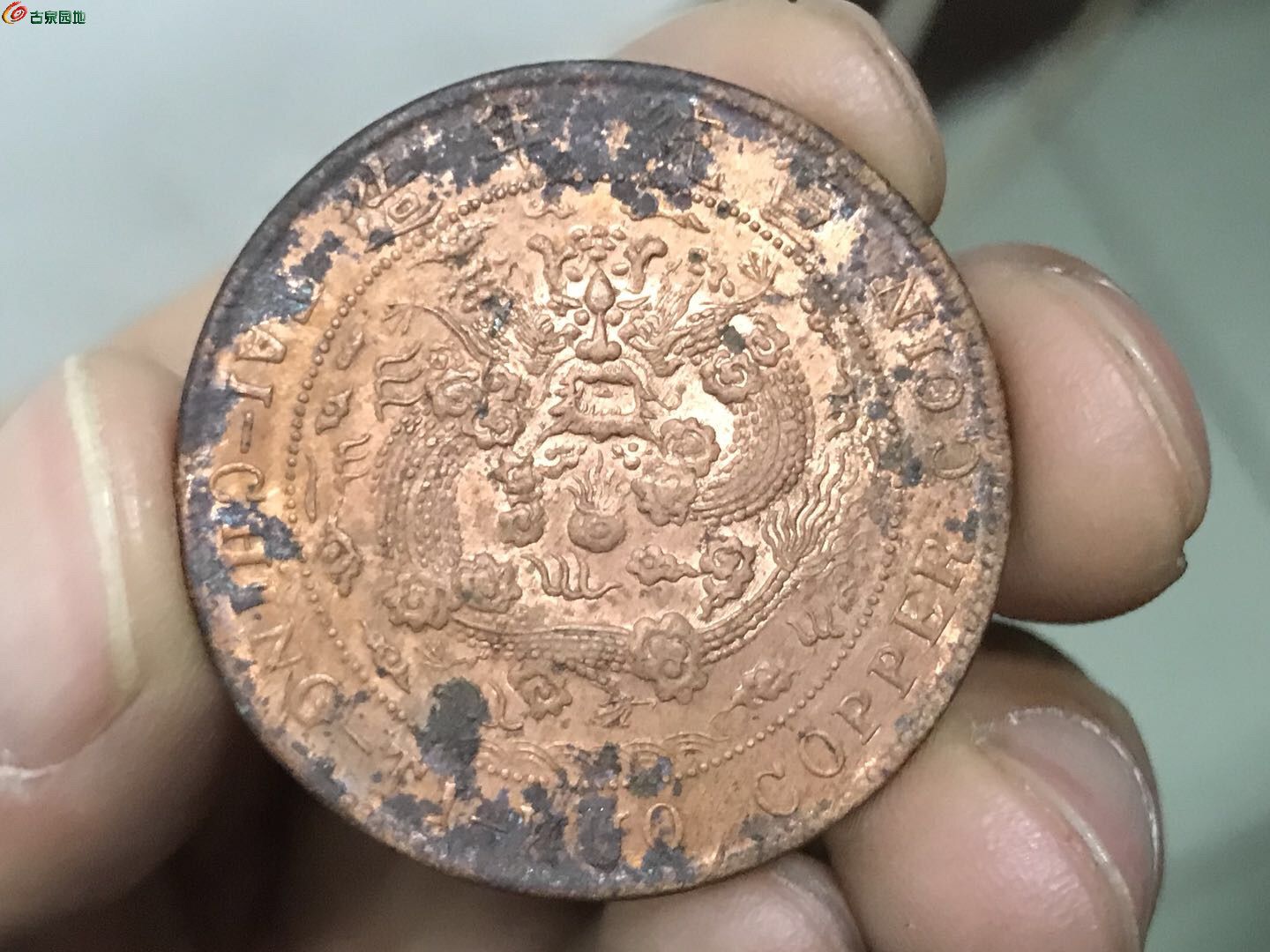 光彩币(光彩币老板)