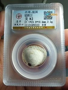 海贝币(妄想山海贝币)