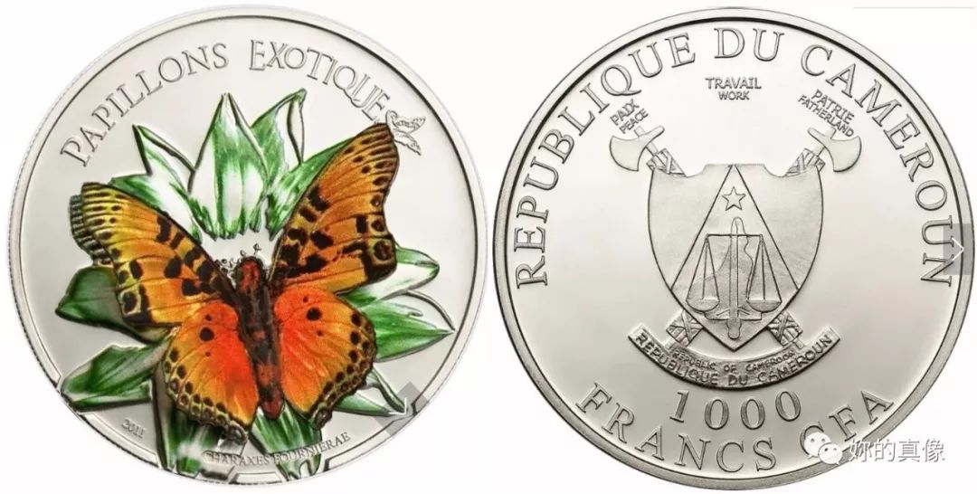 蝴蝶币(蝴蝶币值多少钱) 蝴蝶币(蝴蝶币值多少钱)